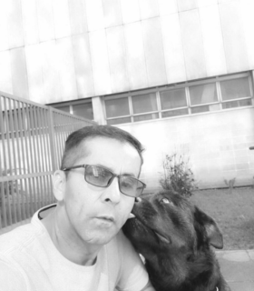 Galeria Canil Arcanine