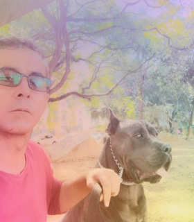 Galeria Canil Arcanine