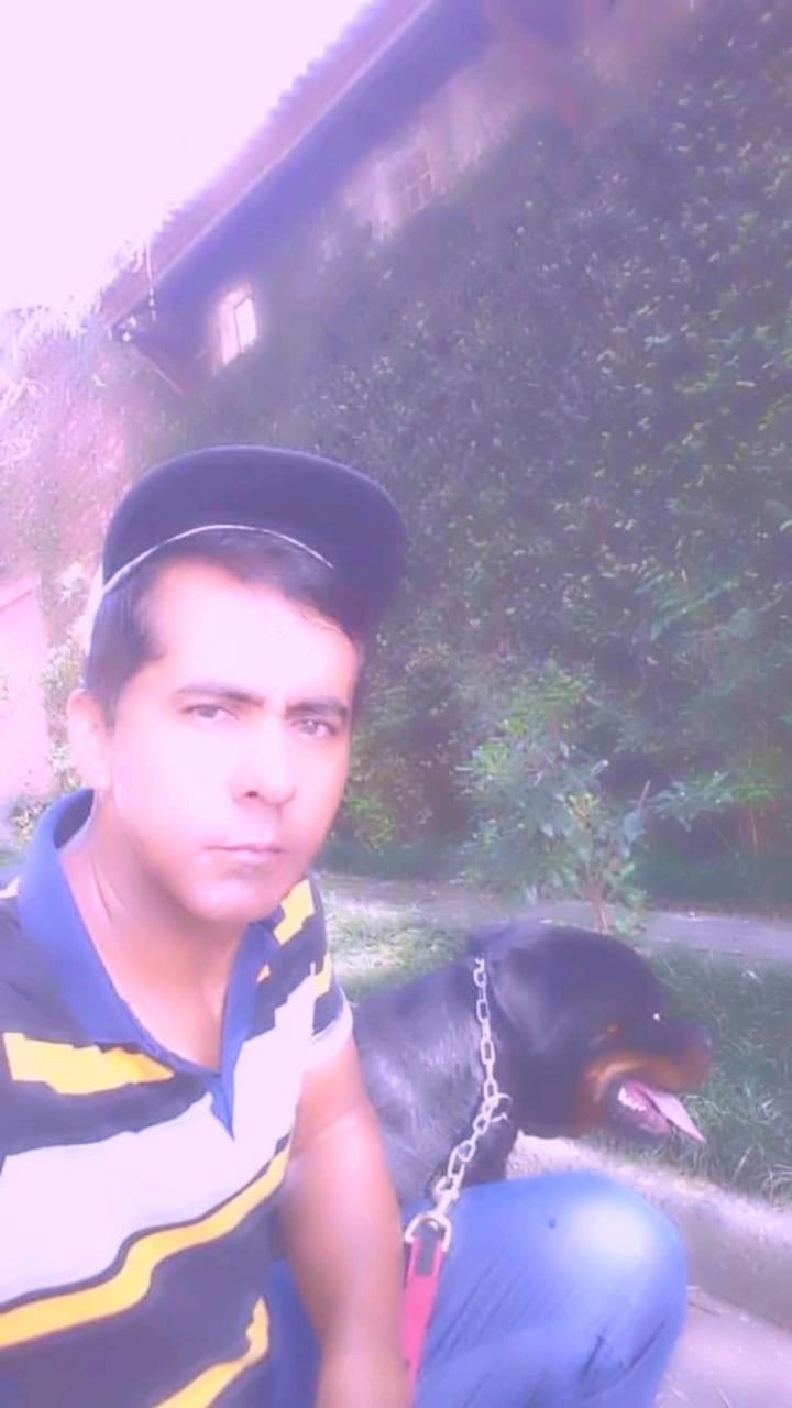 Galeria Canil Arcanine