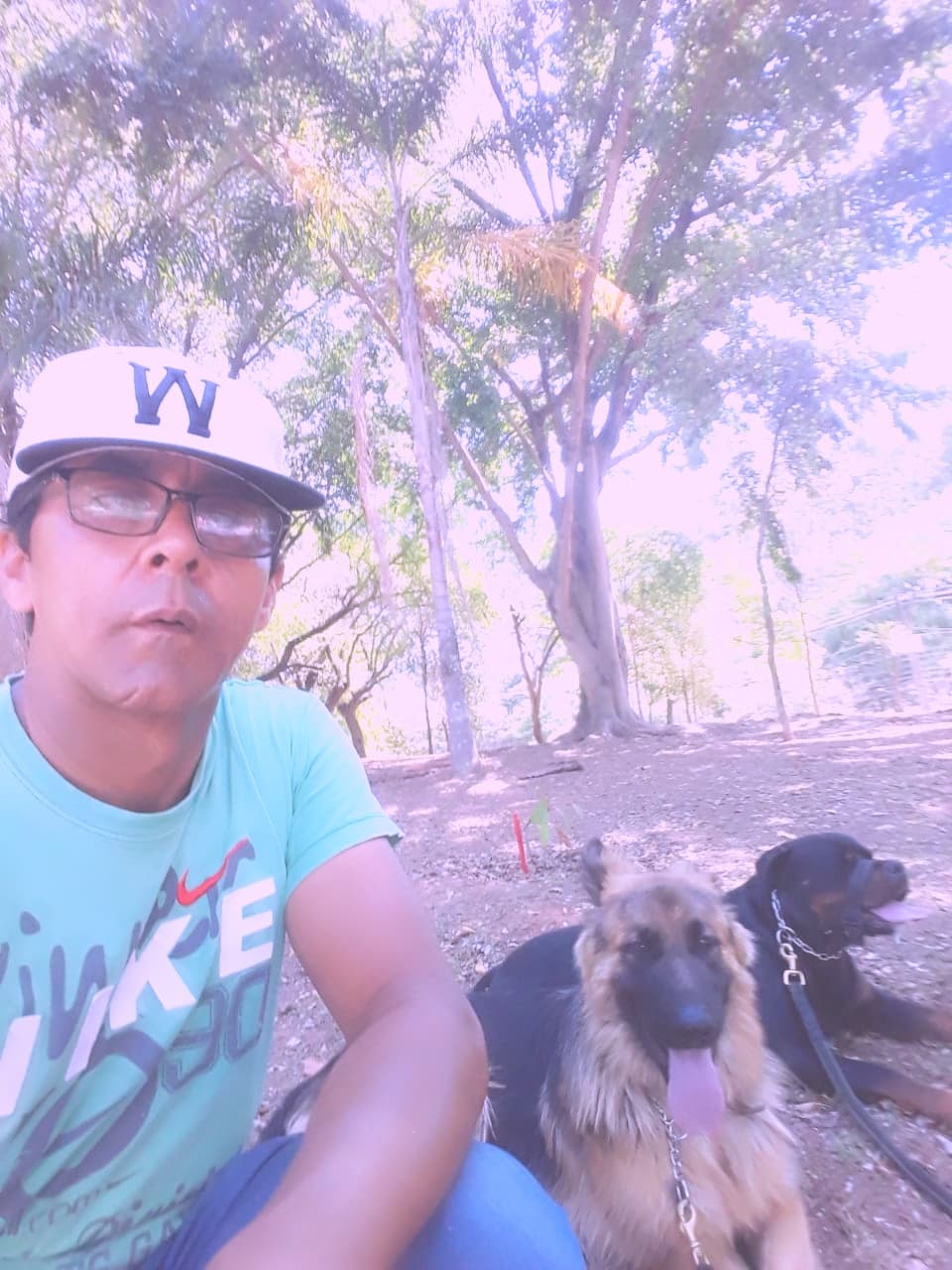 Galeria Canil Arcanine