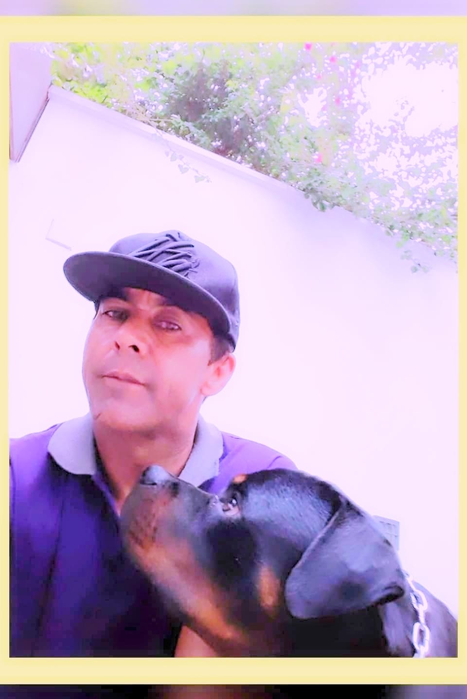 Galeria Canil Arcanine